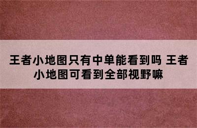 王者小地图只有中单能看到吗 王者小地图可看到全部视野嘛